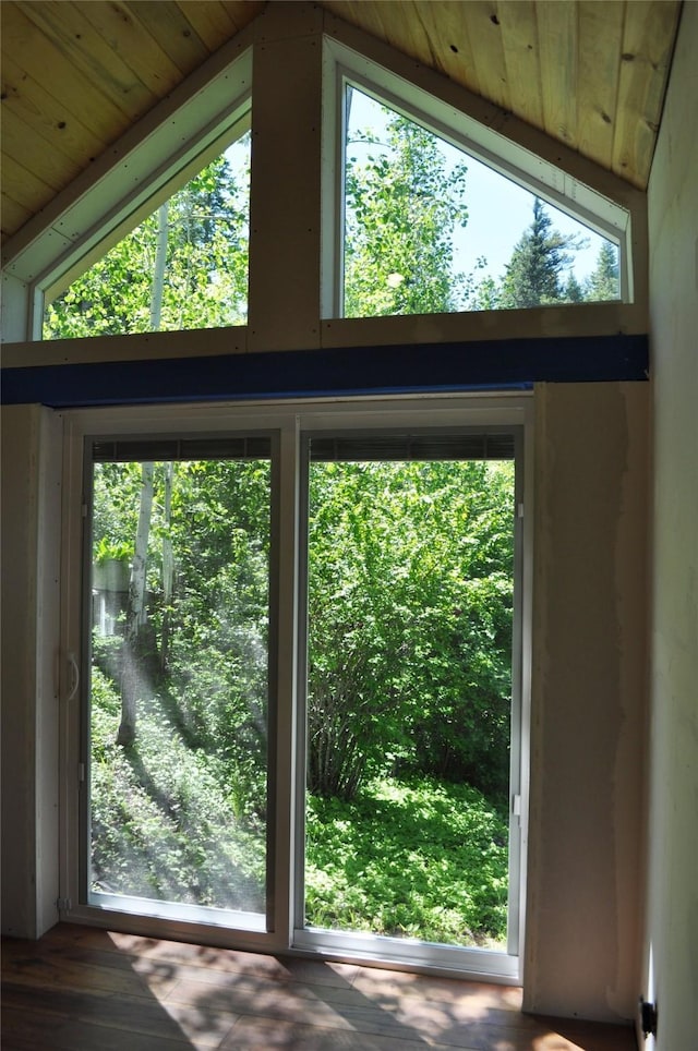 doorway to outside with vaulted ceiling and a wealth of natural light