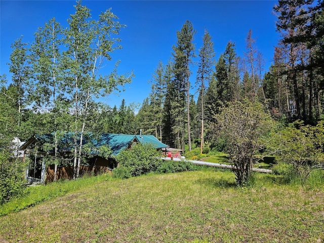 view of yard featuring a wooded view