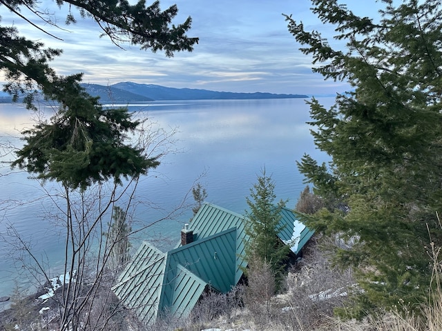 water view featuring a mountain view