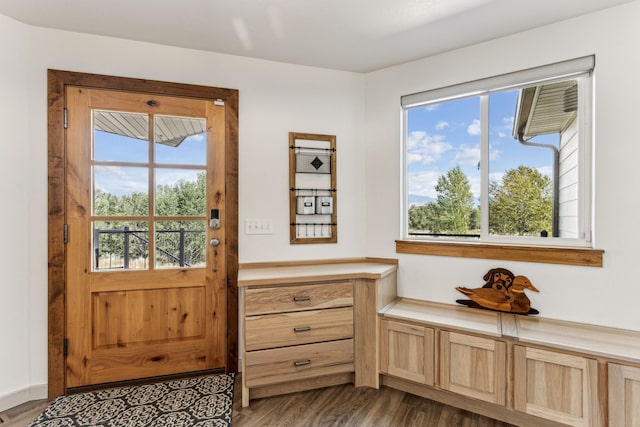 doorway featuring a healthy amount of sunlight and wood finished floors