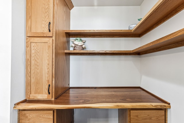 walk in closet featuring wood finished floors