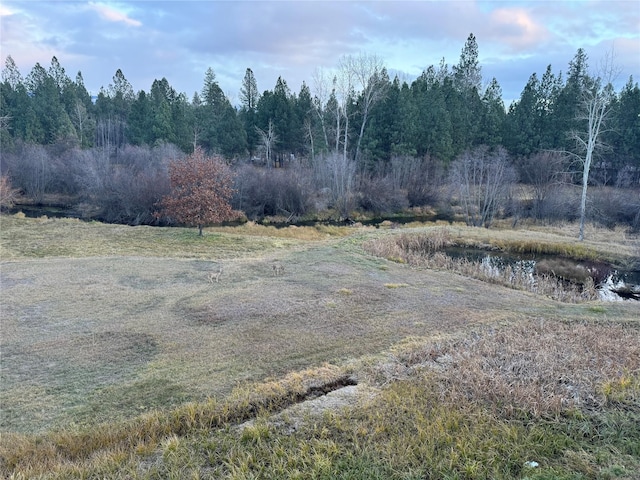 3676 Silverthorn Dr, Stevensville, MT 59870 - view of yard with a wooded view