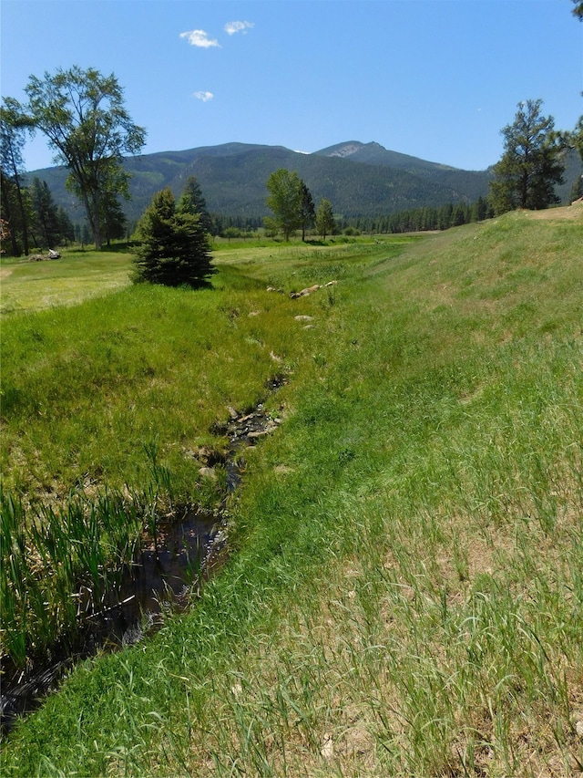 3676 Silverthorn Dr, Stevensville, MT 59870 - view of yard featuring a mountain view and a view of rural / pastoral area