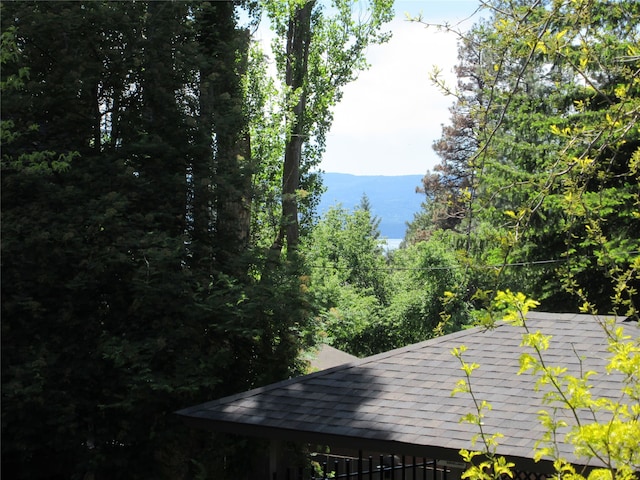 180 Vista Ln Unit 238, Bigfork, MT 59911 - mountain view