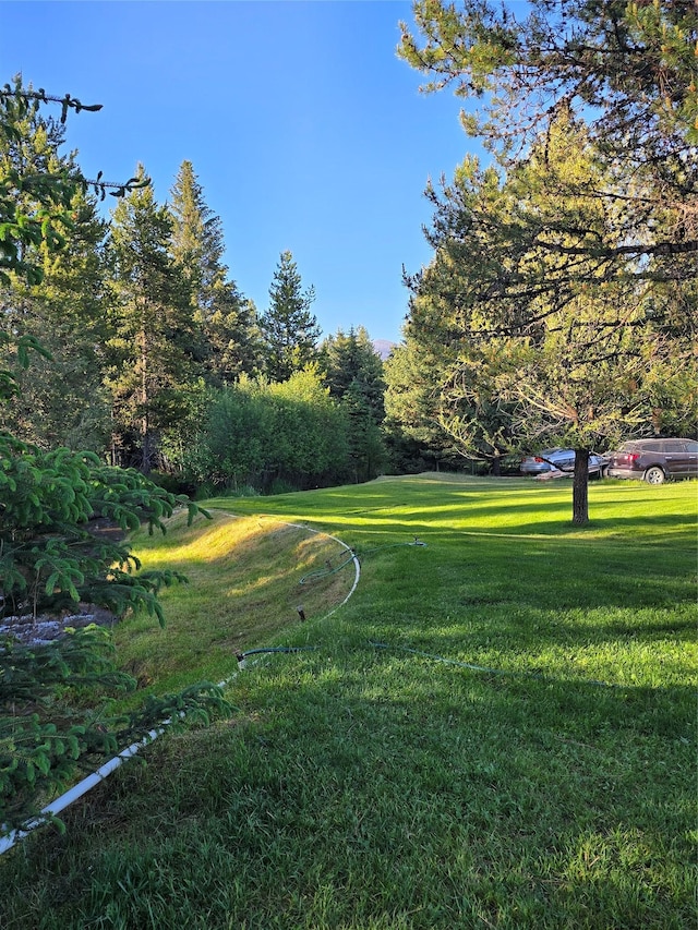 611 S Canyon Dr, Seeley Lake, MT 59868 - view of green lawn