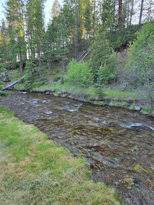 611 S Canyon Dr, Seeley Lake, MT 59868 - view of undeveloped land