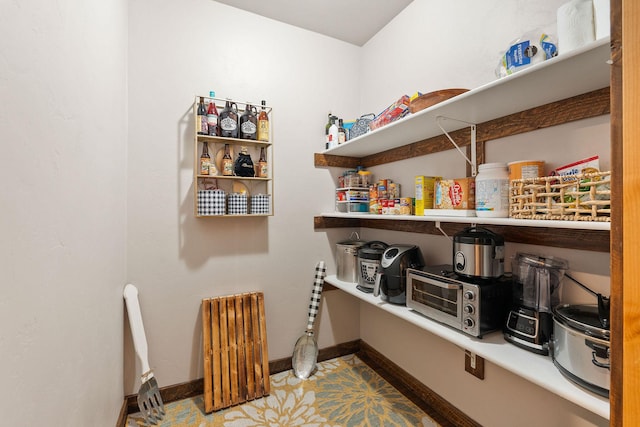 378 Skookum Rd, Lakeside, MT 59922 - storage area featuring radiator heating unit