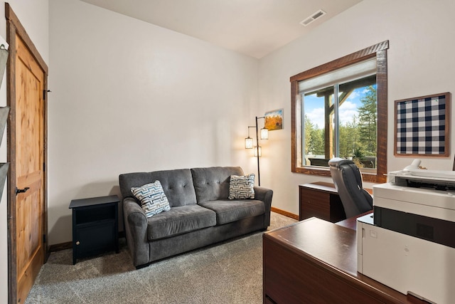 378 Skookum Rd, Lakeside, MT 59922 - carpeted office space with baseboards