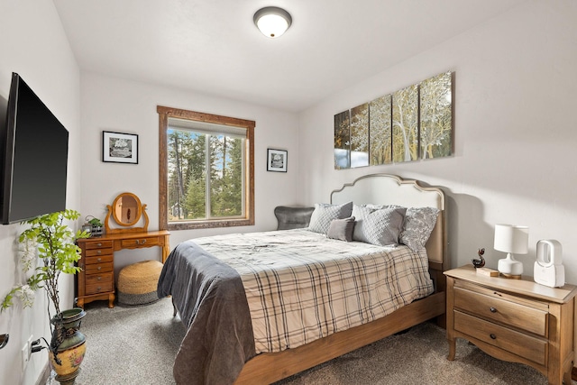 378 Skookum Rd, Lakeside, MT 59922 - view of carpeted bedroom