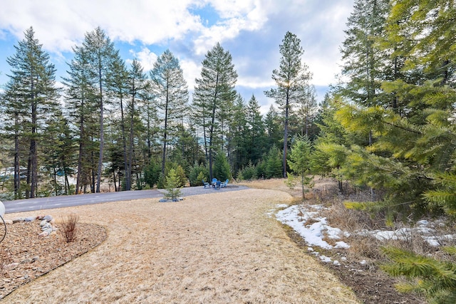 378 Skookum Rd, Lakeside, MT 59922 - view of yard