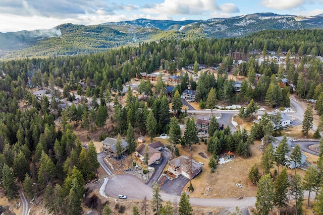 378 Skookum Rd, Lakeside, MT 59922 - aerial overview of property's location with a mountain backdrop and a forest