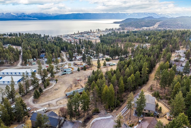 378 Skookum Rd, Lakeside, MT 59922 - aerial view of property's location featuring a water and mountain view and a heavily wooded area