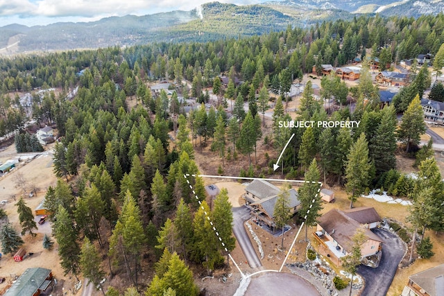 378 Skookum Rd, Lakeside, MT 59922 - aerial view of property's location with mountains, property boundaries highlighted, and a forest