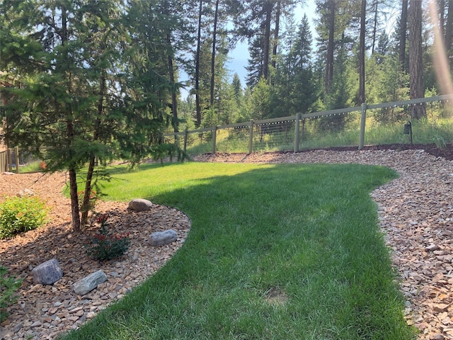 378 Skookum Rd, Lakeside, MT 59922 - view of yard