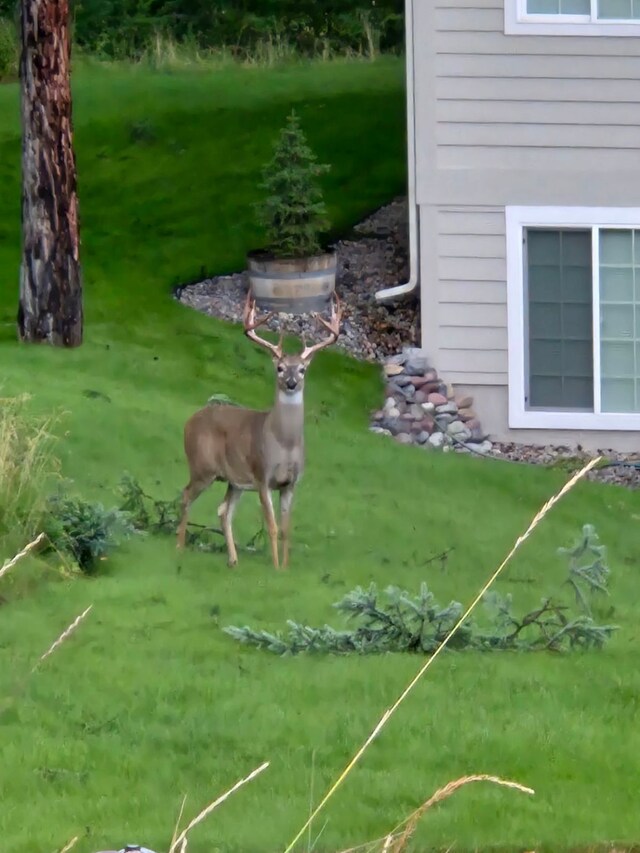 378 Skookum Rd, Lakeside, MT 59922 - exterior view