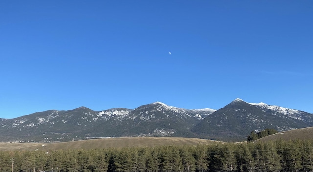 3805 US Highway 93 N, Eureka, MT 59917 - view of mountain backdrop featuring a forest