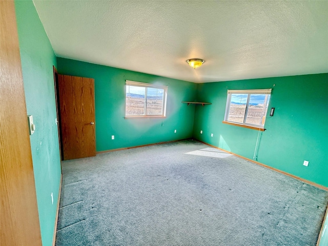 54650 Herak Rd, Charlo, MT 59824 - empty room featuring a textured ceiling, a wealth of natural light, and carpet flooring