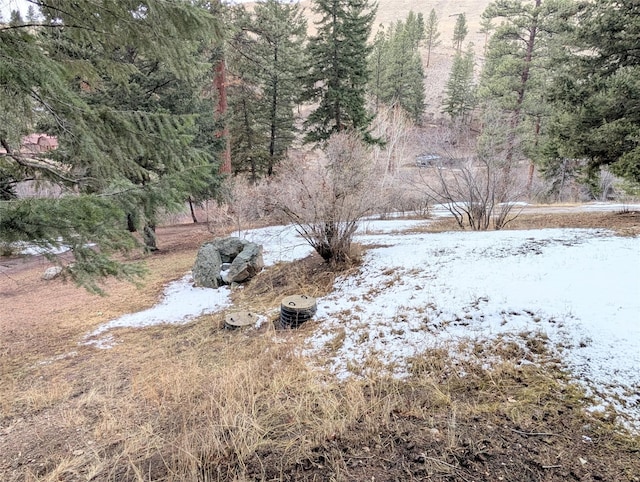 view of snowy yard
