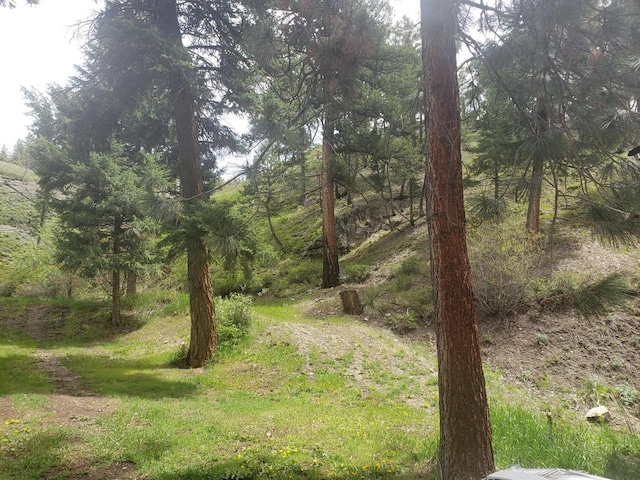 view of nature