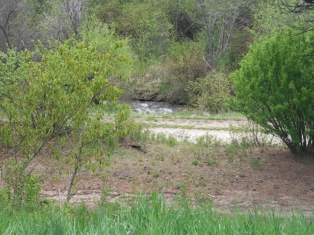 view of landscape with a view of trees