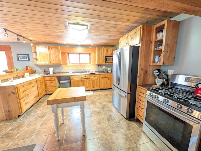 kitchen with a peninsula, rail lighting, stainless steel appliances, a sink, and wooden ceiling