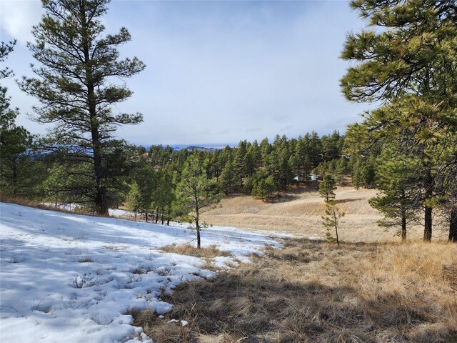 199 Bitterroot Ridge Ln, Cascade, MT 59421 - yard layered in snow featuring a view of trees