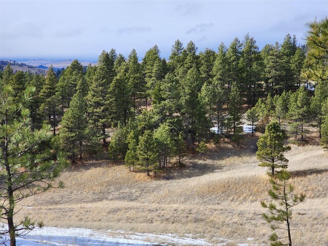 199 Bitterroot Ridge Ln, Cascade, MT 59421 - view of landscape with a forest view