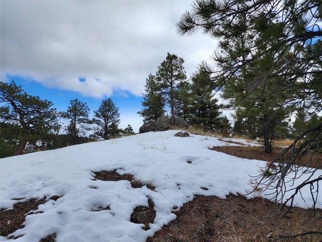 199 Bitterroot Ridge Ln, Cascade, MT 59421 - view of snowy yard