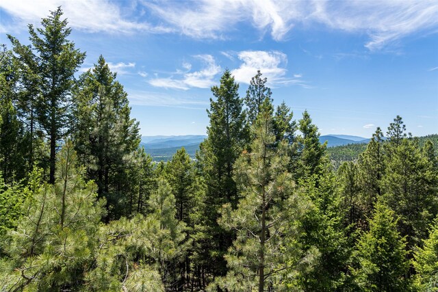 NHN Powder Horn Ln, Marion, MT 59925