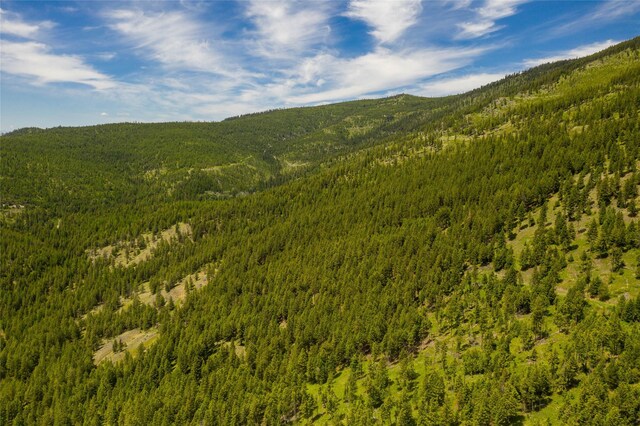 NHN Powder Horn Ln, Marion, MT 59925