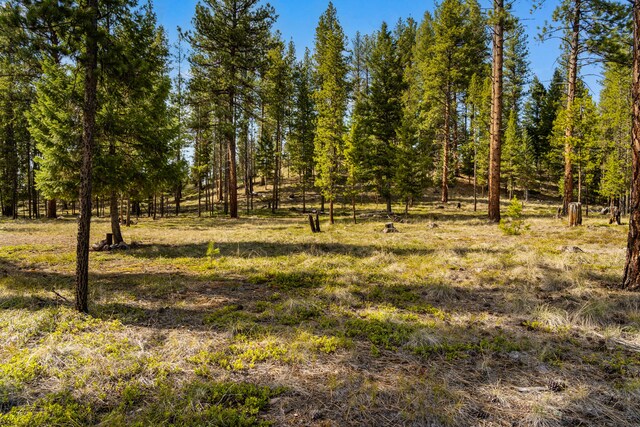 NHN Crawfish Court, Seeley Lake, MT 59868