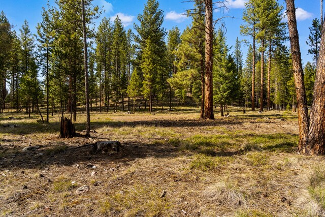 NHN Crawfish Court, Seeley Lake, MT 59868