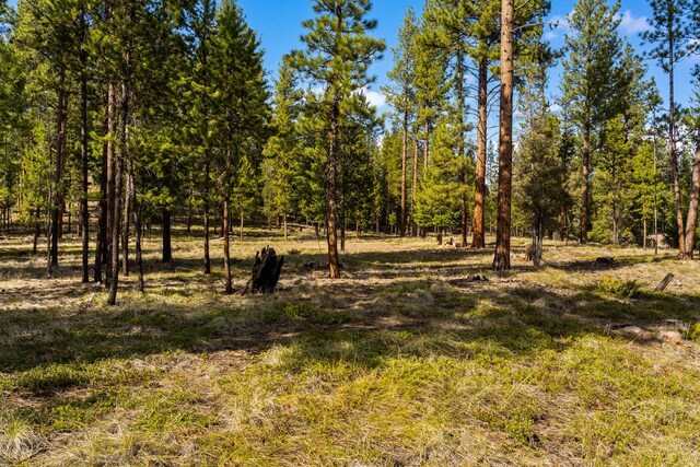 NHN Crawfish Court, Seeley Lake, MT 59868