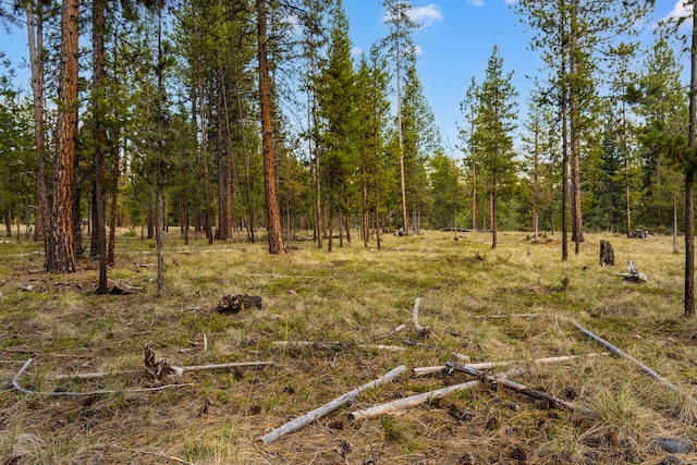 NHN Crawfish Court, Seeley Lake, MT 59868