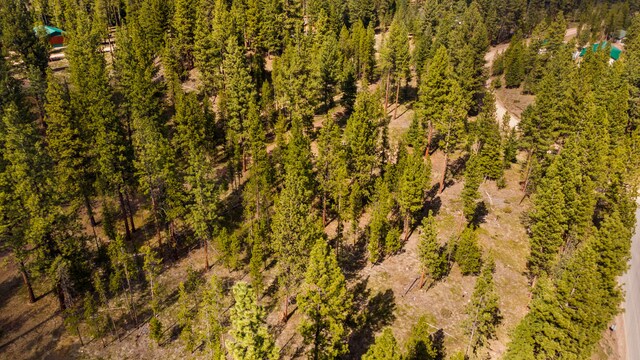 NHN Crawfish Court, Seeley Lake, MT 59868