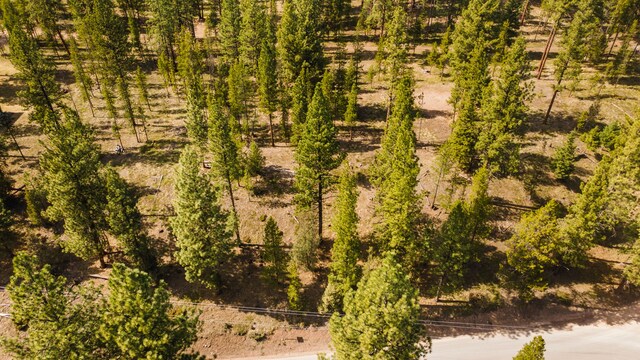 NHN Crawfish Court, Seeley Lake, MT 59868