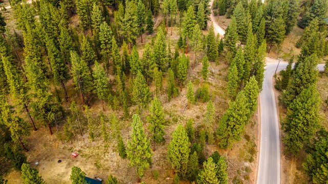 NHN Crawfish Court, Seeley Lake, MT 59868