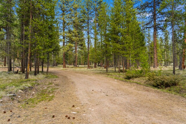 NHN Crawfish Court, Seeley Lake, MT 59868