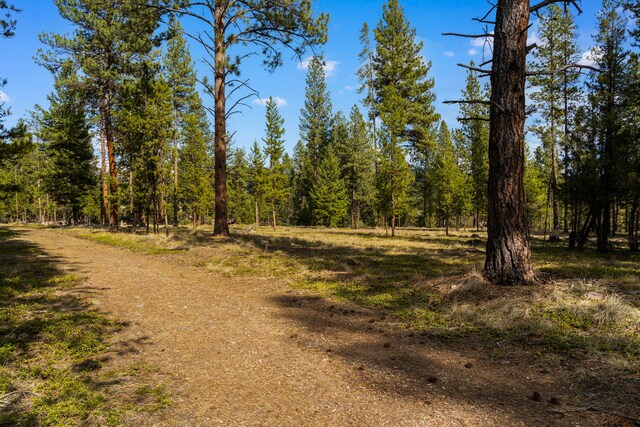 NHN Crawfish Court, Seeley Lake, MT 59868