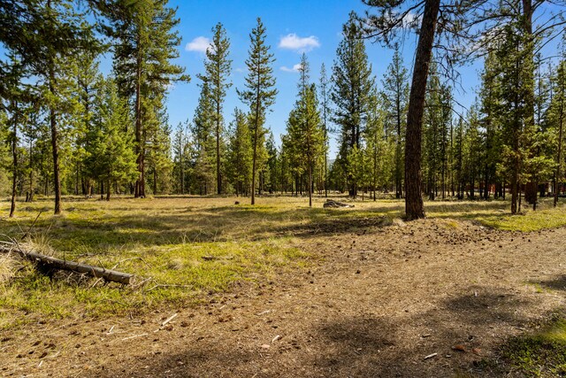 NHN Crawfish Court, Seeley Lake, MT 59868