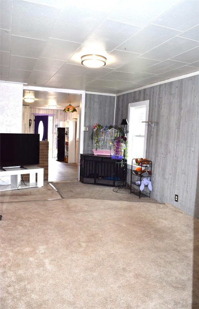 living room with wooden walls and carpet