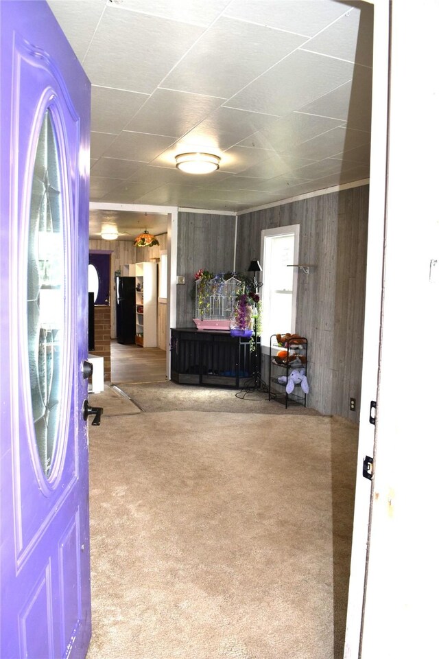 living area with wooden walls and carpet