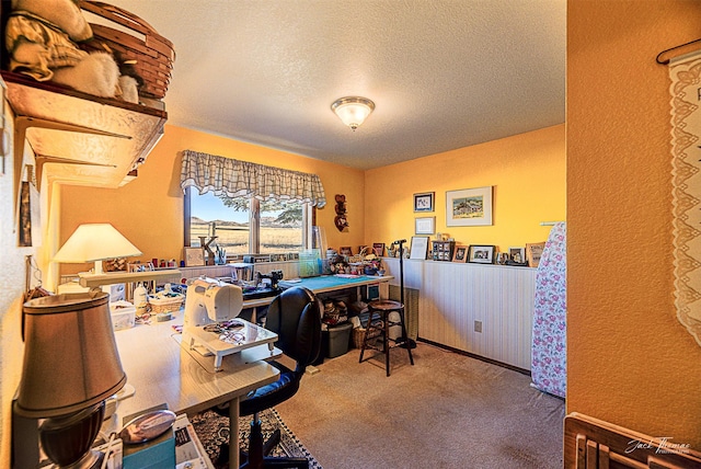 office featuring carpet floors and a textured ceiling