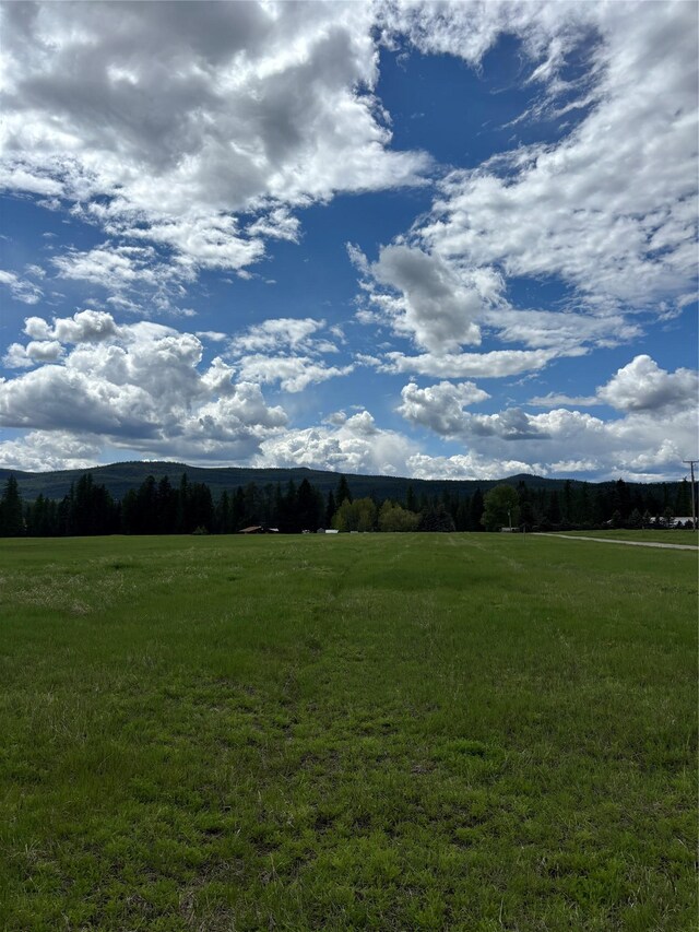 110 Junto Ln, Whitefish, MT 59937