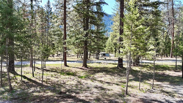 421 Cherry Creek Rd, Thompson Falls, MT 59873 - view of yard