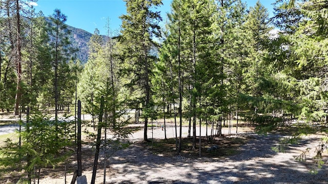 421 Cherry Creek Rd, Thompson Falls, MT 59873 - view of home's community featuring a mountain view