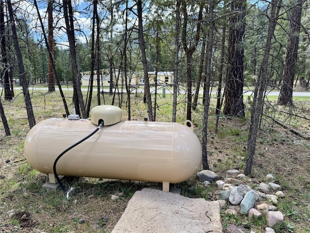 421 Cherry Creek Rd, Thompson Falls, MT 59873 - details featuring heating fuel
