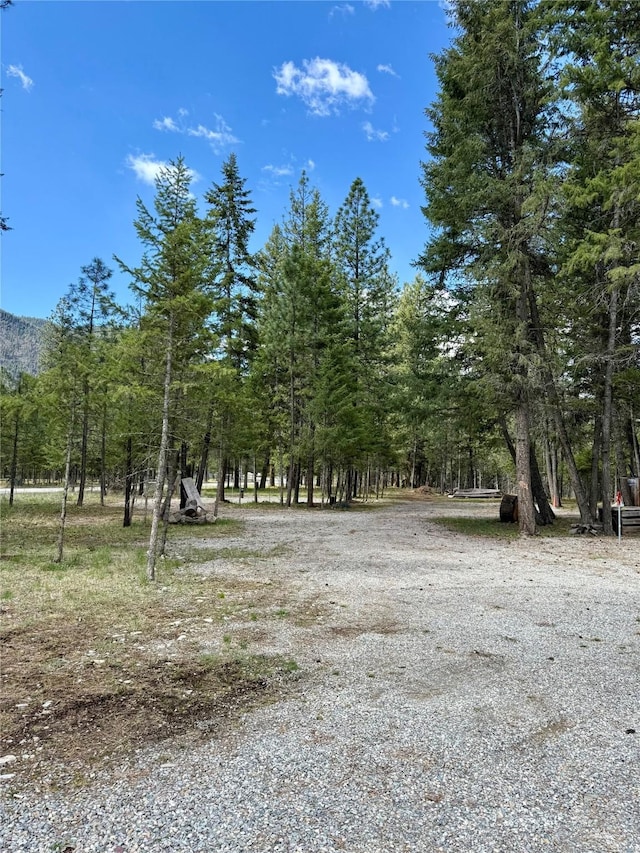 421 Cherry Creek Rd, Thompson Falls, MT 59873 - view of yard with a view of trees