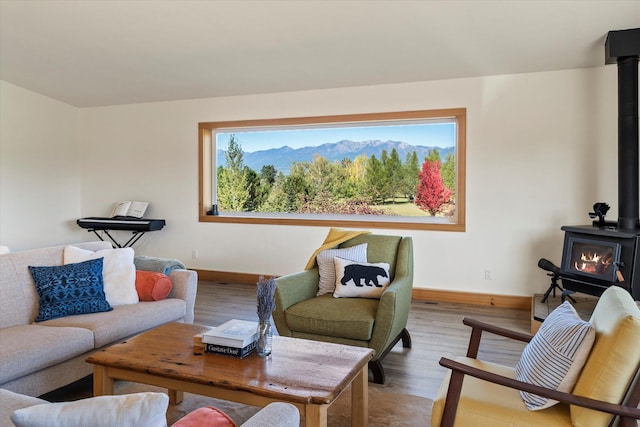 140 Swan River Rd, Bigfork, MT 59911 - living room featuring a wood stove and wood finished floors