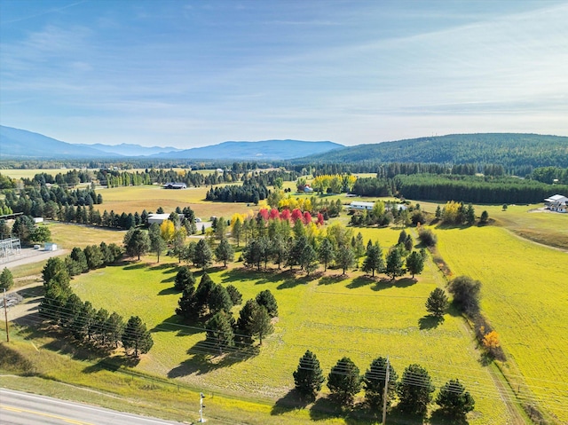 140 Swan River Rd, Bigfork, MT 59911 - view of rural area with a mountainous background